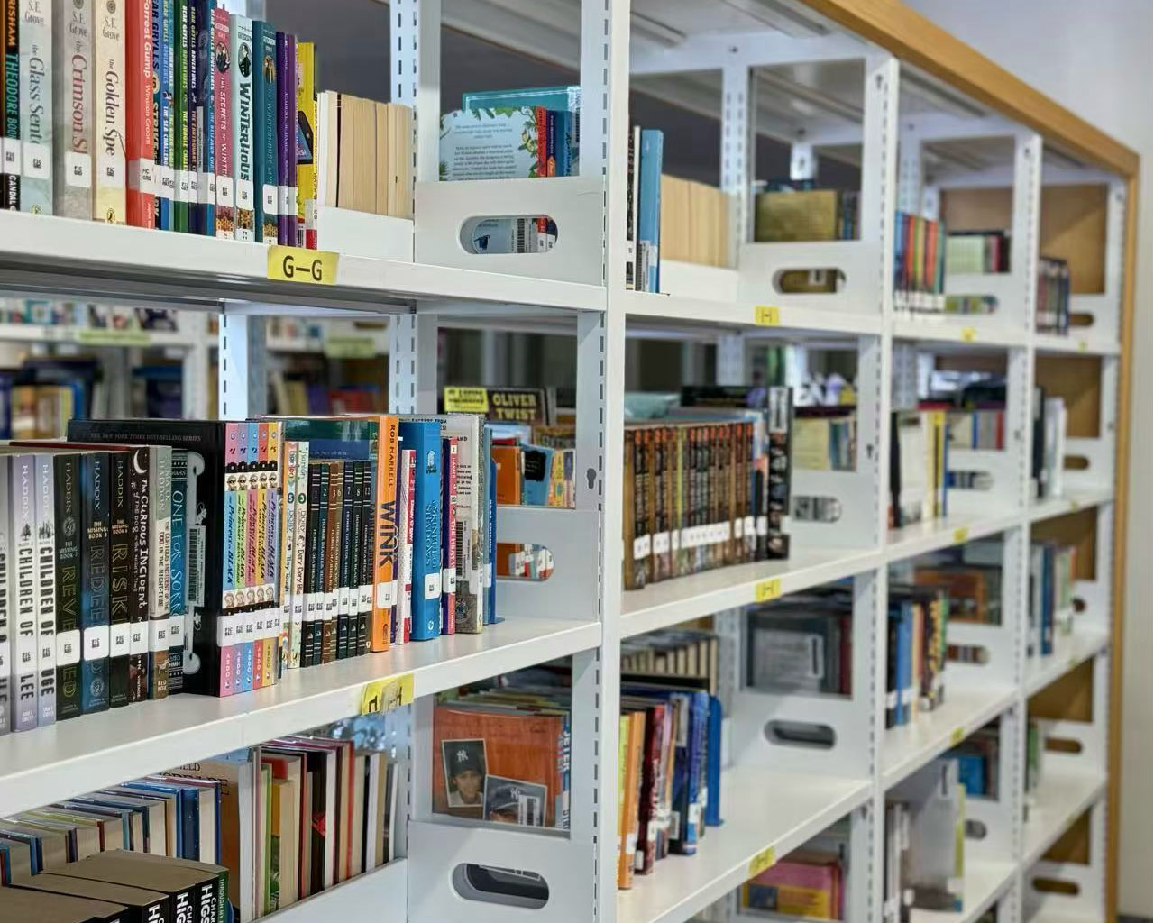 Diverse-Book-Collection-01