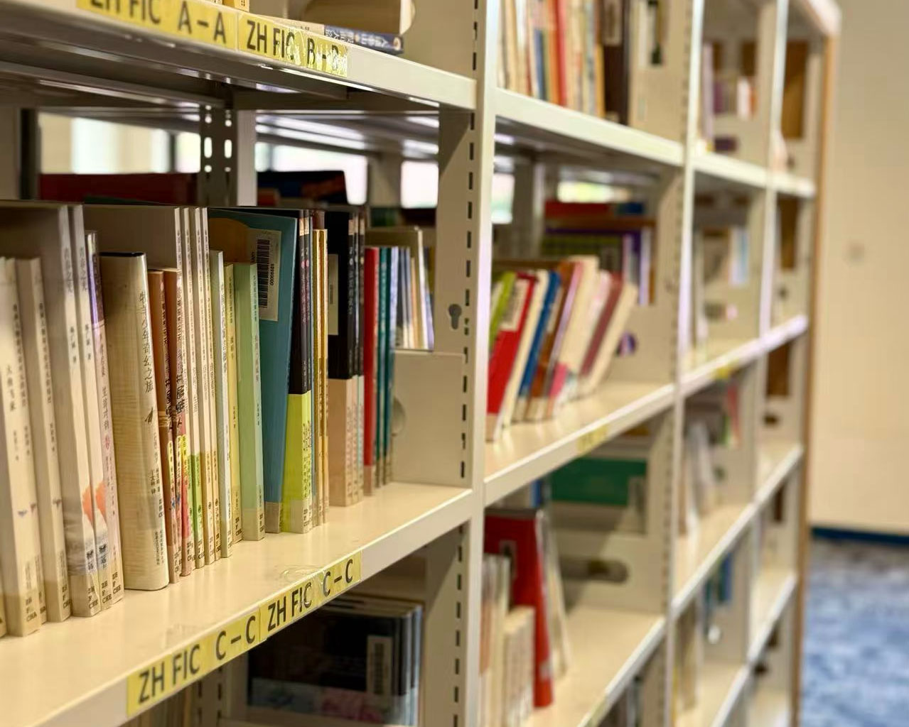 Diverse-Book-Collection-02